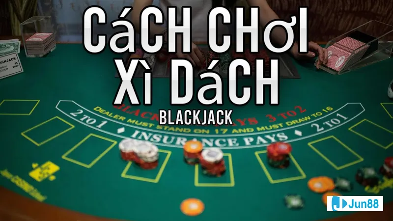 Nhân viên văn phòng đang làm việc tại