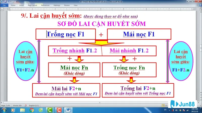 Kỹ thuật đổ gà đá