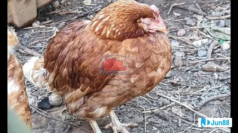 Khu vực sạch sẽ chuẩn bị cho việc